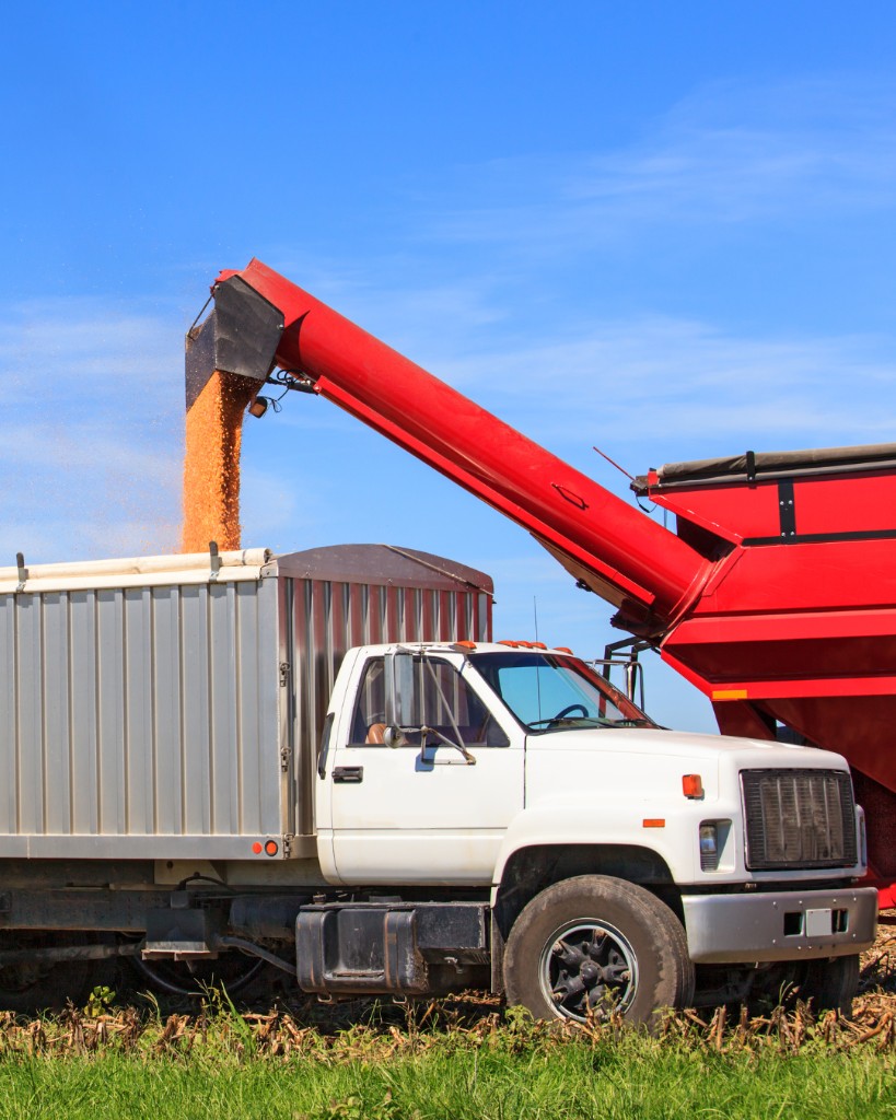 Soluções metálicas agronegócio